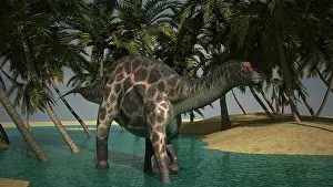 Dicraeosauridae: Dicraeosaurus grazing in a tropical climate
