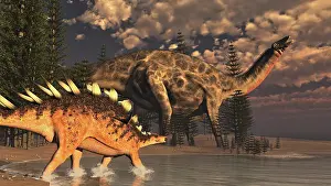 Stegosaur: Dicraeosaurus and Kentrosaurus dinosaur walking along the ?