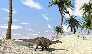 Dicraeosaurus: Dicraeosaurus in a prehistoric environment