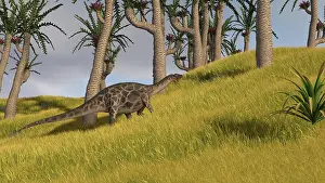 Diplodocid: Dicraeosaurus in a savanna landscape