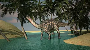 Riverbed: Dicraeosaurus in shallow water