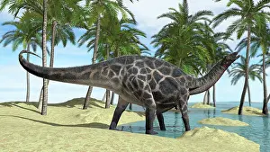 Diplodocid: Dicraeosaurus in shallow water