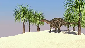 Dicraeosaurus: Dicraeosaurus in a tropical environment