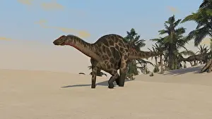 Dicraeosaurus: Dicraeosaurus walking across a barren landscape