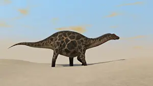 Dicraeosaurus: Dicraeosaurus walking across a barren landscape