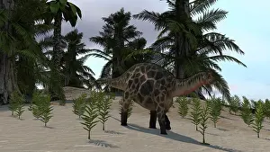 Dicraeosauridae: Dicraeosaurus walking through a desert environment