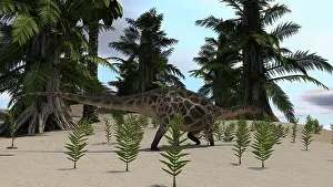 Dicraeosauridae: Dicraeosaurus walking through a desert environment