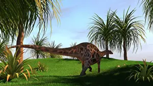 Dicraeosaurus: Dicraeosaurus walking across a field