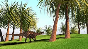 Dicraeosaurus: Dicraeosaurus walking across a field