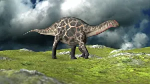 Dicraeosauridae: Dicraeosaurus walking across a field