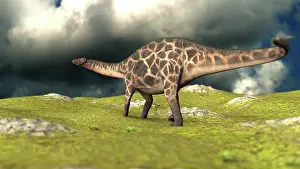 Dicraeosauridae: Dicraeosaurus walking across a field