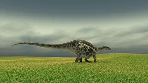 Dicraeosaurus: Dicraeosaurus walking across a grassy field