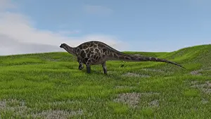 Dicraeosauridae: Dicraeosaurus walking across a grassy field