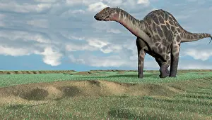 Dicraeosauridae: Dicraeosaurus walking across an open desert