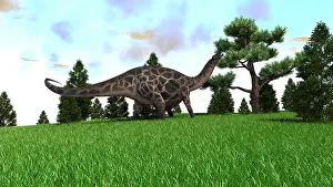 Dicraeosauridae: Dicraeosaurus walking in an open field