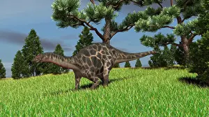 Diplodocid: Dicraeosaurus walking across an open field