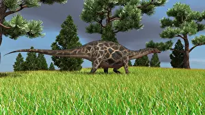 Diplodocid: Dicraeosaurus walking across an open field