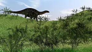 Diplodocid: Dicraeosaurus walking across an open field