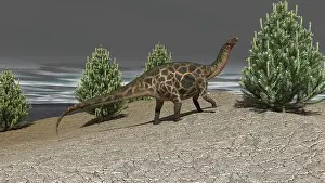 Dicraeosaurus: Dicraeosaurus walking amongst pine trees