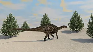 Diplodocid: Dicraeosaurus walking in a prehistoric environment with ?