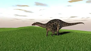 Diplodocid: Dicraeosaurus walking across prehistoric grasslands