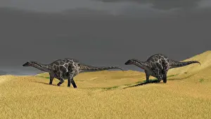 Diplodocid: Dicraeosaurus walking across prehistoric grasslands