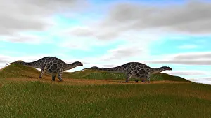 Diplodocid: Two Dicraeosaurus walking across prehistoric grasslands
