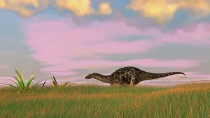 Diplodocid: Dicraeosaurus walking across prehistoric grasslands