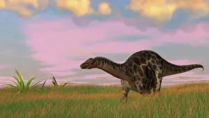 Diplodocid: Dicraeosaurus walking across prehistoric grasslands