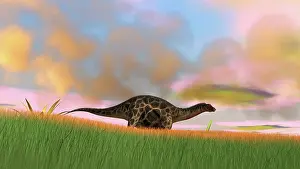 Diplodocid: Dicraeosaurus walking across prehistoric grasslands