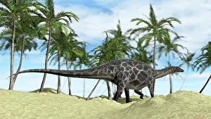 Dicraeosauridae: Dicraeosaurus walking across a prehistoric landscape