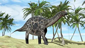 Diplodocid: Dicraeosaurus walking across a prehistoric landscape