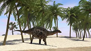 Diplodocid: Dicraeosaurus walking along the shoreline