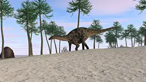 Dicraeosaurus: Dicraeosaurus walking in a tropical environment