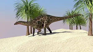 Dicraeosaurus: Dicraeosaurus walking in a tropical environment