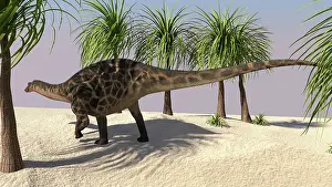 Dicraeosaurus: Dicraeosaurus walking in a tropical environment