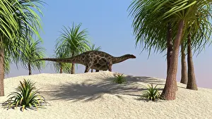 Dicraeosaurus: Dicraeosaurus walking in a tropical environment