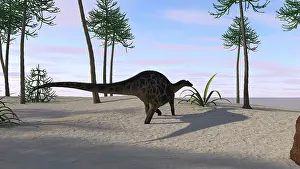 Diplodocid: Dicraeosaurus walking in a tropical environment