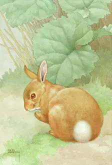 Puff: Where did I leave my powder-puff? - rabbit