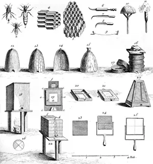 Hives: DIDEROT HIVES