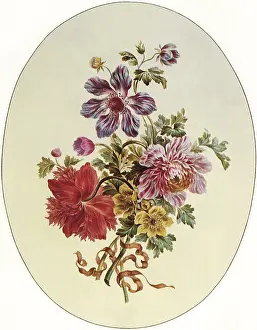 Anemones: Four Different Anemones
