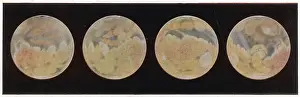 Variations: Different aspects of the planet Mars