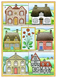 Half Timbered: Six different houses and a flower