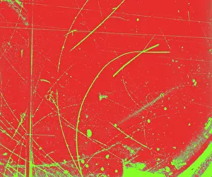 Nevis: Diffusion Cloud Chamber Tracks