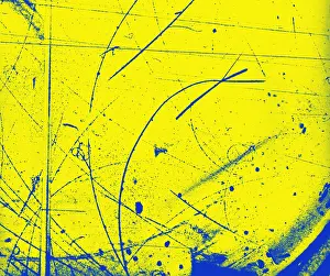 Nevis: Diffusion Cloud Chamber Tracks
