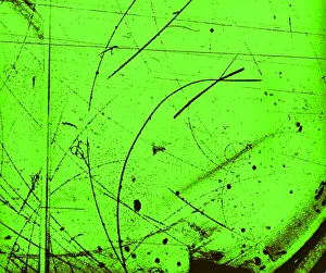 Nevis: Diffusion Cloud Chamber Tracks