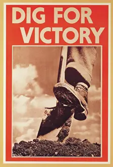 Grow: Dig For Victory