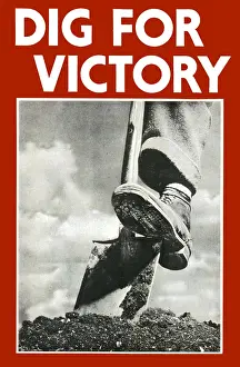 Allotment: Dig for Victory poster - WWII