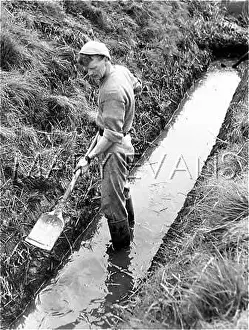 Wellingtons: DIGGING A DRAINAGE DITCH