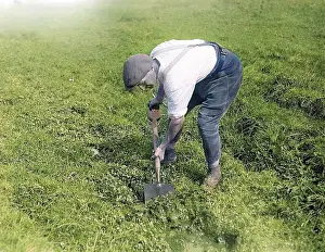 Cords: DIGGING OVER THE GARDEN